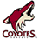 Rsultat partie - Saison Coyotes_